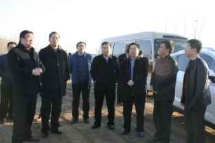 樂陵市市委副書記、市長王大山到S240改建工程工地視察項目建設情況